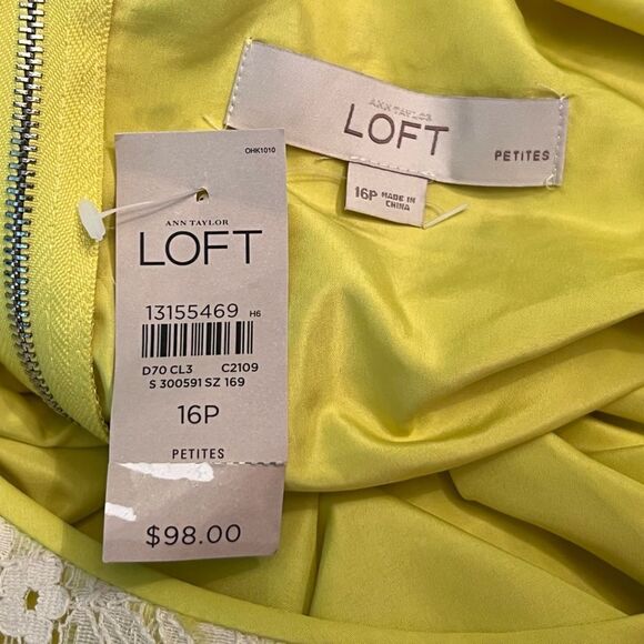 NWT Ann Taylor Loft Petites Lace Dress Green Lining Sleeveless Career Office 16P - Picture 9 of 9